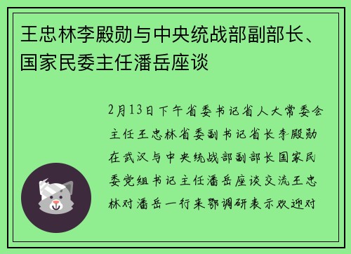 王忠林李殿勋与中央统战部副部长、国家民委主任潘岳座谈