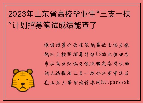 2023年山东省高校毕业生“三支一扶”计划招募笔试成绩能查了