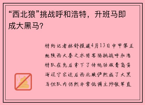 “西北狼”挑战呼和浩特，升班马即成大黑马？